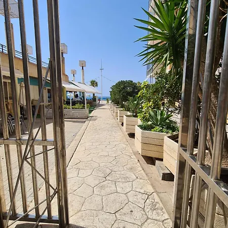 Mucho Gusto Santa Margarita